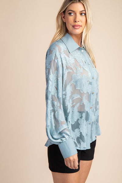 Sheer Delight Blouse