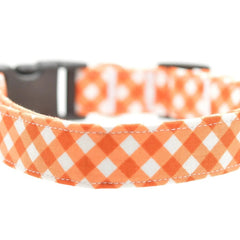 Dog Collars, Leashes and Bow Ties-Multiple Options