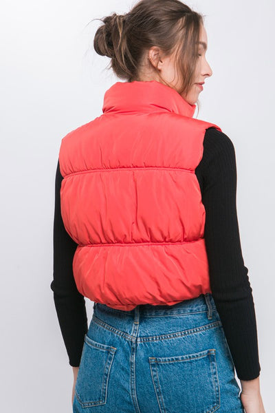 Apres Ski Puffer Vest-2 Colors